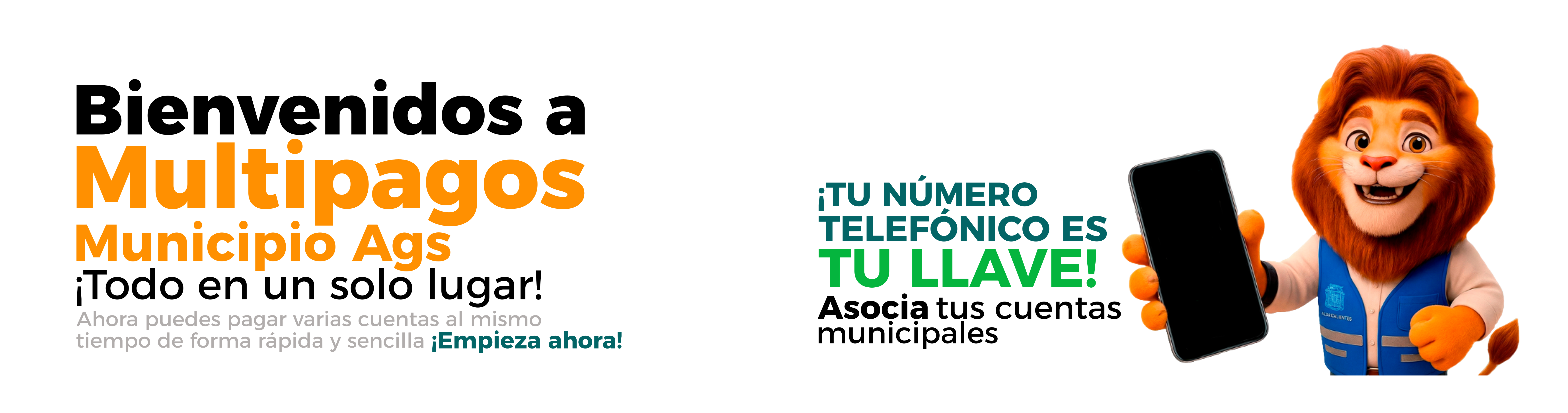 Bienvenido a MultiPagosWeb